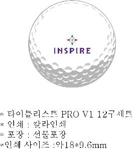 ���� ���� ���� ���� | Ÿ��Ʋ����Ʈ PRO V1 12����Ʈ