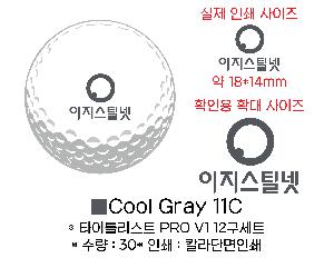 ���� ���� ���� ���� | Ÿ��Ʋ����Ʈ PRO V1 12����Ʈ