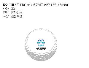 ���� ���� ���� ���� | Ÿ��Ʋ����Ʈ PRO V1x 6����Ʈ