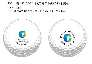 ���� ���� ���� ���� | Ÿ��Ʋ����Ʈ PRO V1 6����Ʈ 45X95X135mm