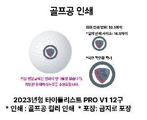 ������ǰ | Ÿ��Ʋ����Ʈ PRO V1 12��[3�ǽ�����]