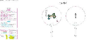 �������˹� | ���� �ҽ� 2�÷� ��ä 150∅~190∅