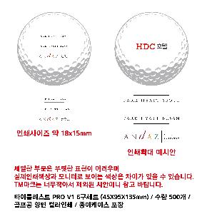 ������ǰ | Ÿ��Ʋ����Ʈ PRO V1 6����Ʈ 45X95X135mm