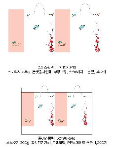 ���ι� | ���̼��ι�_�ư��� 320x100x280mm