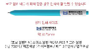 ���� �ʱ�� | ������ ���� PIGRA P03 �Ǳ׶� ����