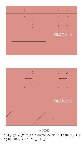 ���ι� | ���̼��ι�_�����̴� 310x125x485mm