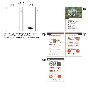 ���̾ ��ø ��Ʈ | 2026 AP10 ���� ���̾ 25�� �Ϸ�� 1P ǰ��