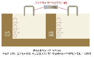 ���ι� | ���̼��ι�_��Ƽ��ȭ�� 300x130x350mm