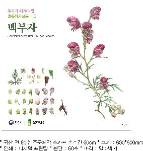 �Ƿ� | ������� �μ��ϴ� ��ī�� 60��60cm