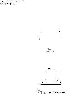 �μ� �þ� �̹��� 75345