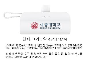 �������͸� | ������ 5000mAh �ʹ̴� ������ 2way �������͸� STPB-MB50