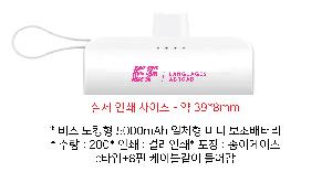 �������͸� | ���� ��ŷ�� 5000mAh ��ü�� �̴� �������͸�