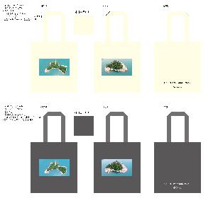 ���ڹ� ���ι� | �ֹ����۳��̺� ���� �÷� ���ڹ� ���� 340x370mm