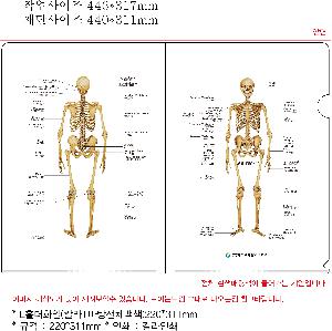 ���Ϸ� PP��ǰ | LȦ��ȭ�� Į��+������ü���220*311mm