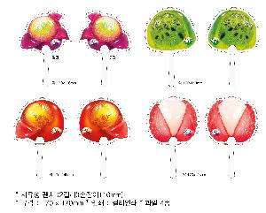 �������˹� | ������ �ҽ� 2�÷� ��ä 150∅~190∅ ������110mm