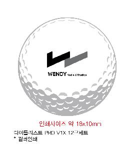 ������ǰ | Ÿ��Ʋ����Ʈ PRO V1X 12����Ʈ