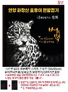 �μ� �þ� �̹��� 91376