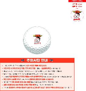 ������ǰ | Ÿ��Ʋ����Ʈ PRO V1X 12����Ʈ