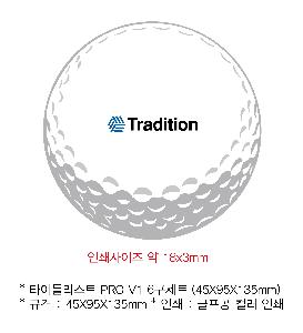 ������ǰ | Ÿ��Ʋ����Ʈ PRO V1 6����Ʈ 45X95X135mm