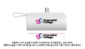 �������͸� | ��濢�� 2in1 ��ŷ�� �������͸� 5000mAh CŸ�� 8�� ���̺�������