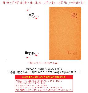 ���̾ ��ø ��Ʈ | 2026�� �׷��̽� ������̾ 25�� 32��