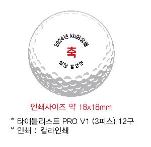 ������ǰ | Ÿ��Ʋ����Ʈ PRO V1 3�ǽ� 12��