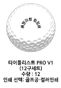 ������ǰ | Ÿ��Ʋ����Ʈ PRO V1 12����Ʈ