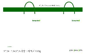 ���ι� | ���̼��ι�_������ 150x60x210mm