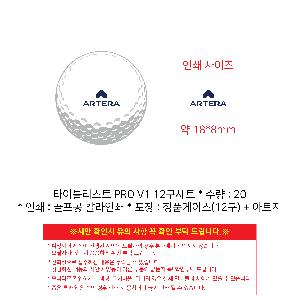 ������ǰ | Ÿ��Ʋ����Ʈ PRO V1 12����Ʈ