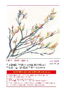 �μ� �þ� �̹��� 98513