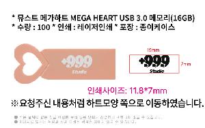 USB�޸� | �½�Ʈ �ް���Ʈ MEGA HEART USB 3.0 �޸� 16GB~256GB