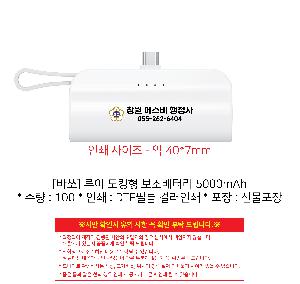 �������͸� | [�ٽ�] ���� ��ŷ�� �������͸� 5000mAh ǰ��