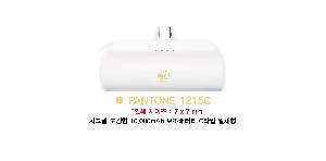 �������͸� | �ñ׳� ��ŷ�� 10,000mAh �������͸� CŸ�� ��ü��