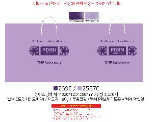 ���ι� | ���̼��ι�_�������Ǻΰ� 280x100x200mm