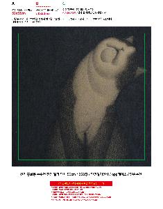 �μ� �þ� �̹��� 105996