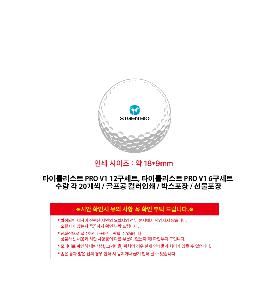 ���� ���� ���� ���� | Ÿ��Ʋ����Ʈ PRO V1 12����Ʈ