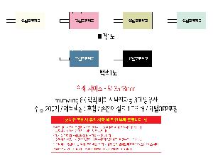 �μ� �þ� �̹��� 110363