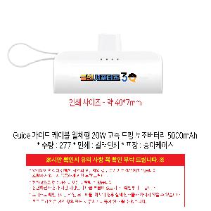 �������͸� | Guide ���̵� ���̺� ��ü�� 20W ���� ��ŷ �������͸� 5000mAh
