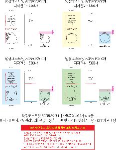 �μ� �þ� �̹��� 111960