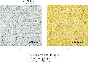 �μ� �þ� �̹��� 112522