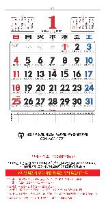 �������˹� | 2026�� 2�� ���� 100�����޸��� �� �޷� Ķ���� 495*720mm ǰ��